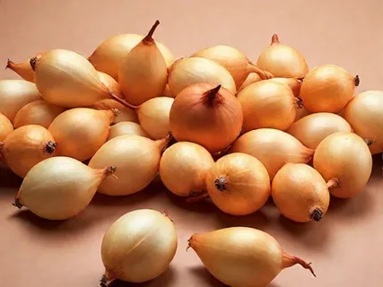 Озимый лук Чувашия и Голландия