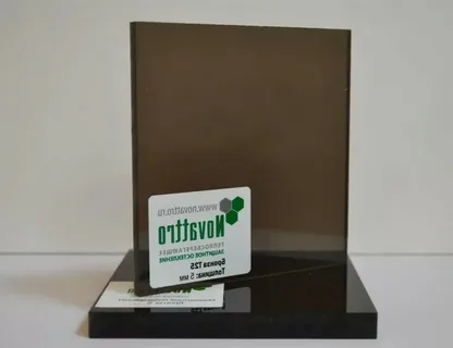 Монолитный п-т Новаттро  3мм 3,05*2,05м светлая бронза